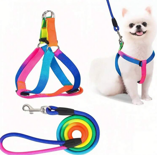 Colorful Dog Harness And Leash Set, Adjustable Cat/Dog Harness And Leash For Walking, Training And Exploring, Ideal Choice For Small, Medium  Cats And Dogs