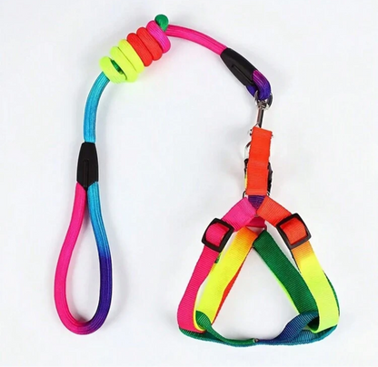 Colorful Dog Harness And Leash Set, Adjustable Cat/Dog Harness And Leash For Walking, Training And Exploring, Ideal Choice For Small, Medium  Cats And Dogs