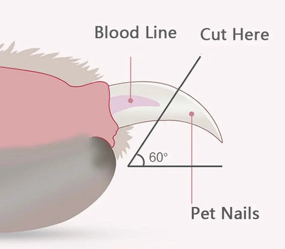 Pet Nail Clippers with LED light