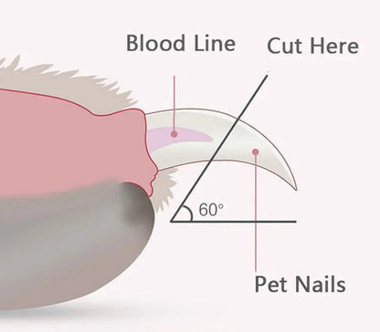 Pet Nail Clippers with LED light