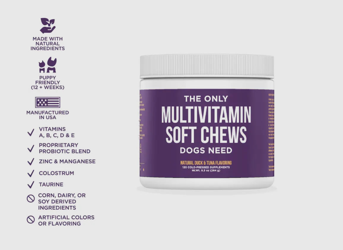 The Only Multivitamin Soft Chews Dogs Need; supplements