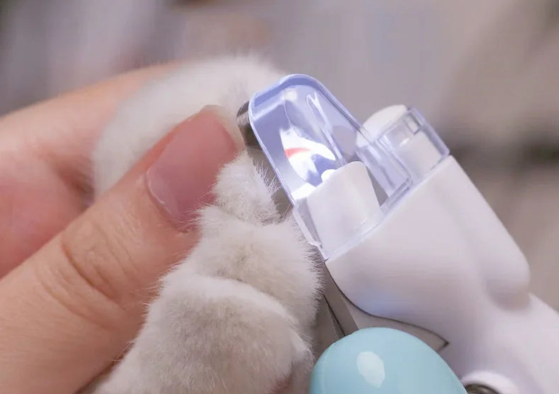 Pet Nail Clippers with LED light