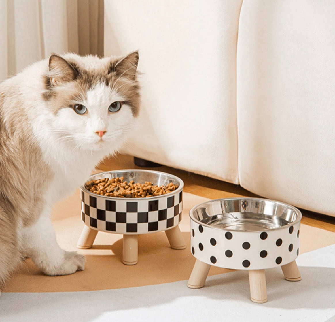 1pc Pet Bowl with antifall design and non-slip bottom, protective rim. For Cat or Small Medium Dog