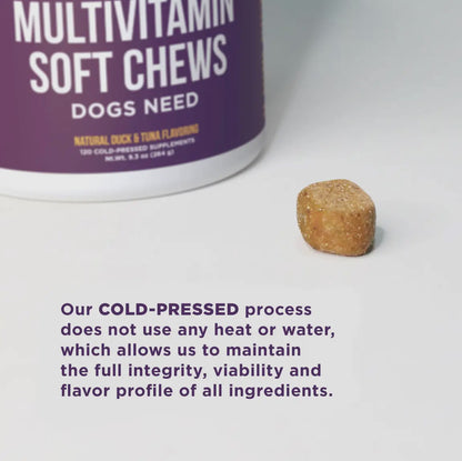 The Only Multivitamin Soft Chews Dogs Need; supplements