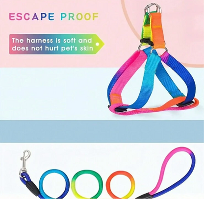 Colorful Dog Harness And Leash Set, Adjustable Cat/Dog Harness And Leash For Walking, Training And Exploring, Ideal Choice For Small, Medium  Cats And Dogs