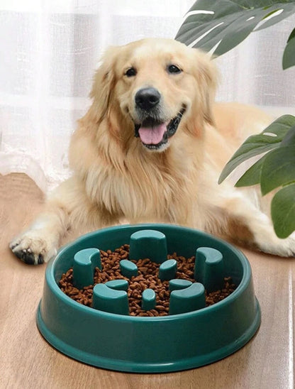 Slow Feeder Pet Bowl. For dogs, puppies, cats and littens