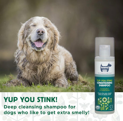 Hownd Yup You Stink, Conditioning Shampoo for Stinky Smelly Dogs, w/Eucalyptus & Cedarwood, Dirt Busting, Deep Cleaning Formula w/Odor Control,Nourishes Skin & Coat,Vegan - 8.5oz